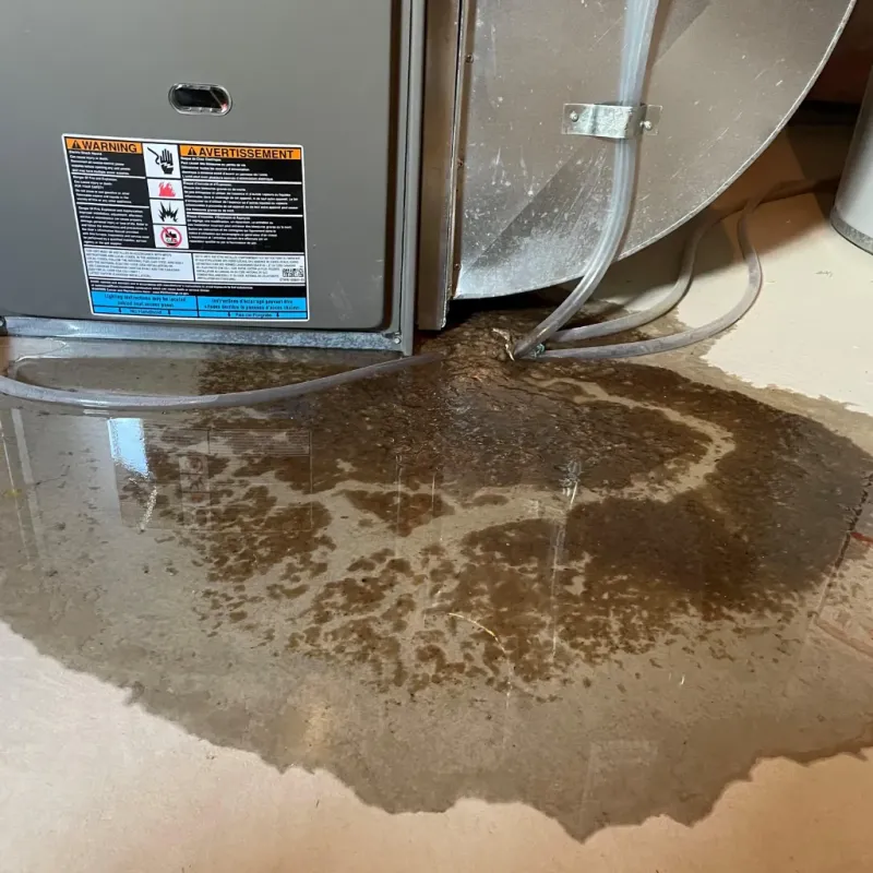 Appliance Leak Cleanup in Pittsfield, ME